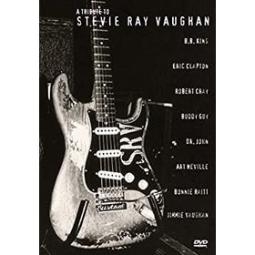 TRIBUTE TO STEVIE RAY VAUGHAN USA IMPORT