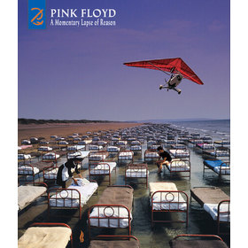 MOMENTARY LAPSE OF REASON CD + DVD BOXED SET STICKER + BOOKLET USA IMPORT