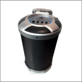 T6 BAZUCA VALIJA SUBWOOFER 24W