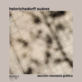 SECCION MANZANA GRAFICO