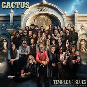 TEMPLE OF BLUES USA IMPORT