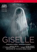 GISELLE USA IMPORT