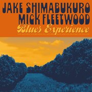 BLUES EXPERIENCE 180G USA IMPORT