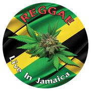 REGGAE: LIVE IN JAMAICA / VARIOUS PICTURE DISC VINYL LP USA IMPORT